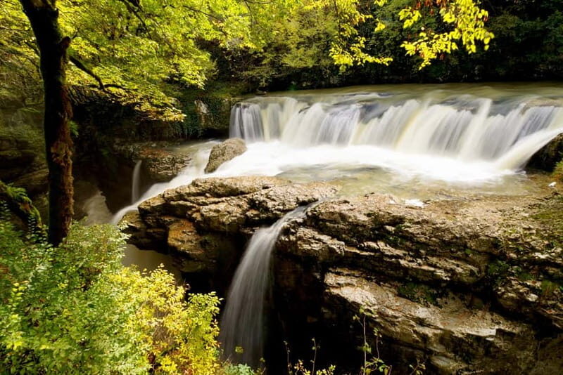 Kutaisi: Prometheus Cave & Martvili Canyon Guided Tours - Who Should Book This Tour?