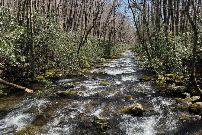 Kuwohi Mountain Great Smoky Mountains Tour - Why This Tour Is Worth It