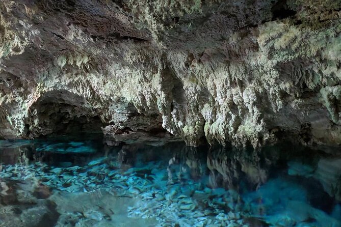 Kuza Cave Tour, Blue Lagoon, Starfish Adventure, The Rock Restaurant, Paje Beach - Price and Booking Details