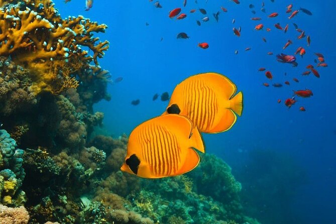 Kuza Cave Tour, Blue Lagoon, Starfish Adventure, The Rock Restaurant, Paje Beach - Location and Directions