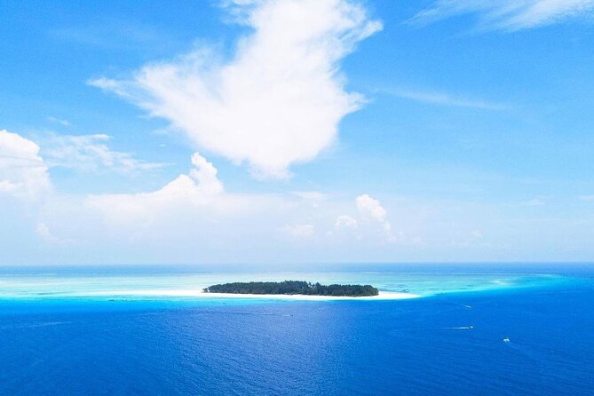 Kuza Cave Tour, Mnemba Island, Secret Garden, Stone Town, Emerson Restaurant - Tour Highlights