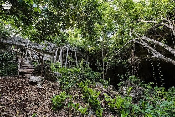 Kuza Cave Zanzibar - Operator Information and Reviews