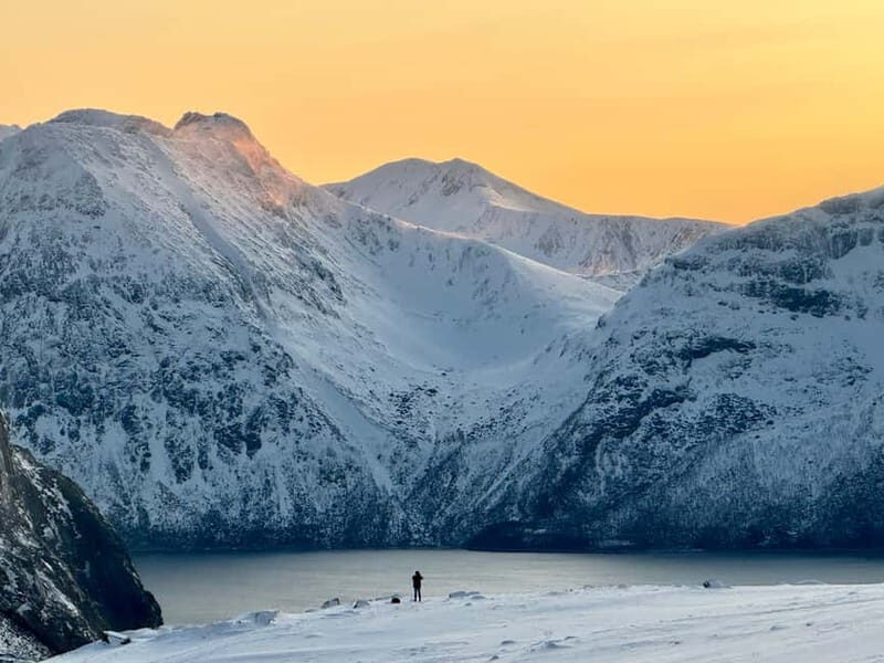 Kvaløya Island: Photography Tour with Snacks - The Sum Up