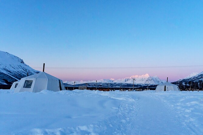 Kvaloya Northern Lights Tour, Reindeer Sledding From Tromso - Overnight Accommodations
