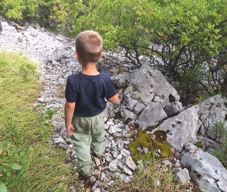 Kvarner/mrika Guided Donkey Walk, Cave & Scenic Picnic Spot - The Sum Up