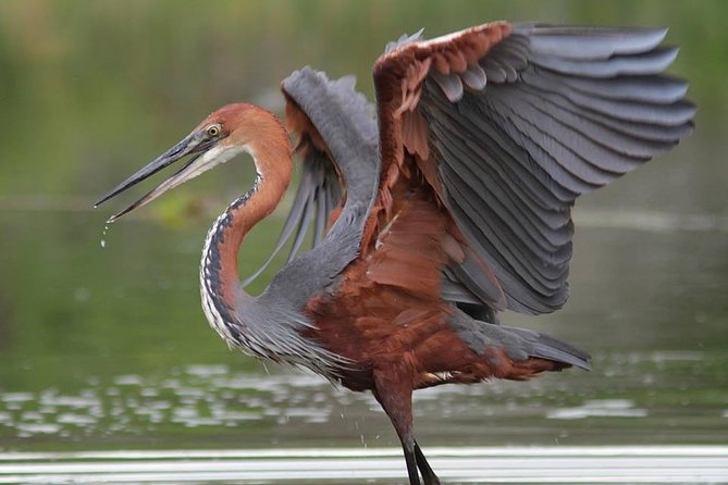 Kwanza River Tour - Recent Customer Reviews