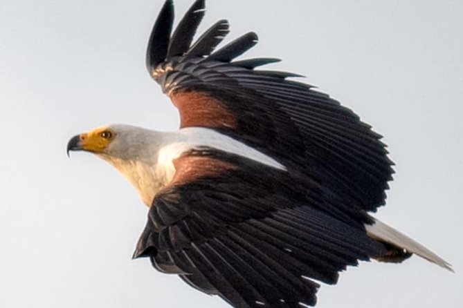 Kwanza River Tour - Frequently Asked Questions