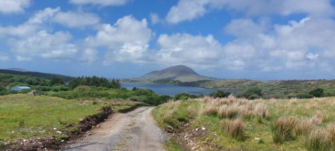 Kylemore, Sheep Farm and Connemara Private Limousine Tour - Pickup Service