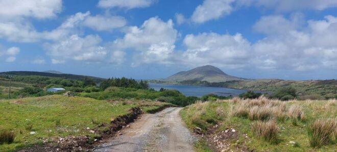 Kylemore, Sheep Farm and Connemara Private Limousine Tour - Small Group Experience