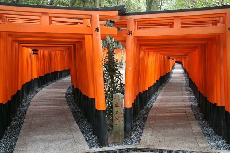 Kyoto 1 Day Bus Tour: Fushimi Inari, Kinkakuji, Bamboo Grove - Kyoto’s far-flung sights, joined by coach