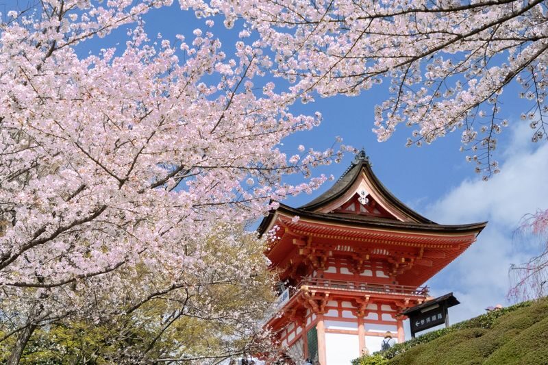 Kyoto 1 Day Golden Route Bus Tour - At a glance