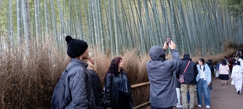 Kyoto 1 Day Golden Route Bus Tour - Fushimi Inari: torii gates on a tight schedule
