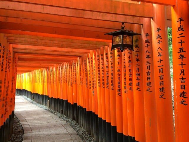 Kyoto 1 Day Golden Route Bus Tour - Is the price worth it?