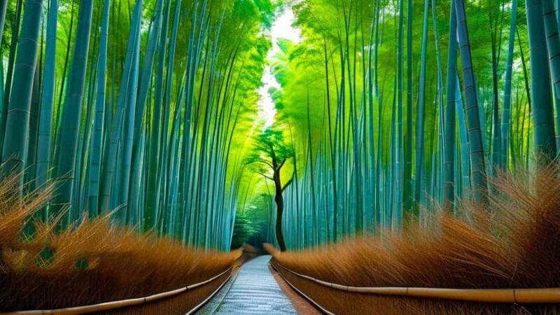 Kyoto: 10-Hour Private Custom Highlights Guided Tour by Car - An In-Depth Look at the Kyoto Private 10-Hour Tour