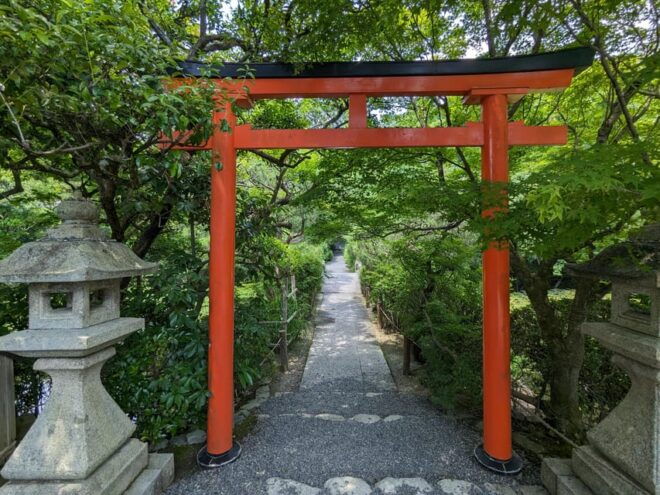 Kyoto: 100% Private Custom Tour (4/8 Hrs) - Experience Highlights