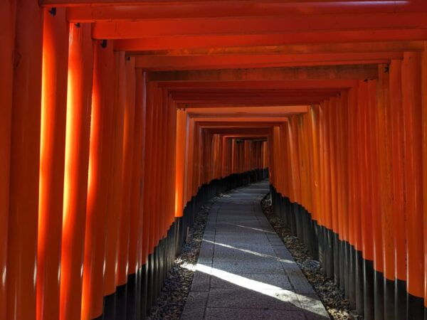 Kyoto: 100% Private Custom Tour (4/8 Hrs) - Important Information