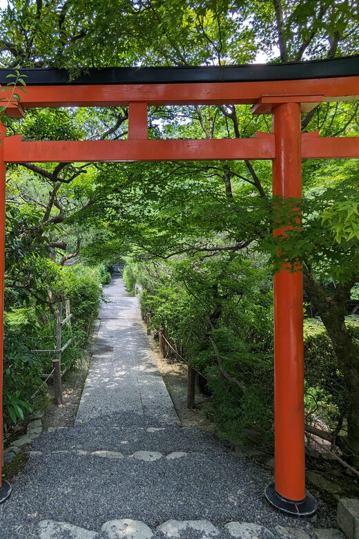 Kyoto: 100% Private Custom Walking Tour (4/8 Hrs) - Authentic Food and Cultural Experiences