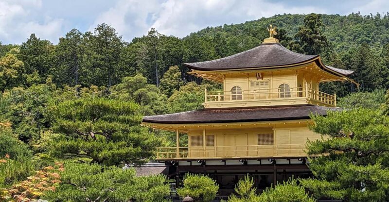 Kyoto: 100% Private Custom Walking Tour (4/8 Hrs) - What Makes This Tour Stand Out?