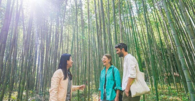 Kyoto: 4-Hour Arashiyama Walking Tour - Activity Details