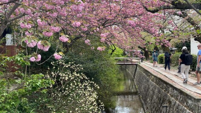 Kyoto: 4-Hour Private Guided Tour of the Silver Pavilion - Experience Details