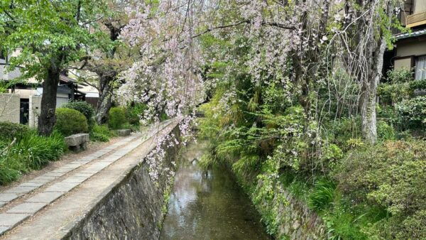 Kyoto: 4-Hour Private Guided Tour of the Silver Pavilion - Meeting Point