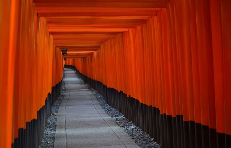 Kyoto 4 Iconic Sights Full-Day Private Tour - Lunch at Sushi Iso, with the price details checked