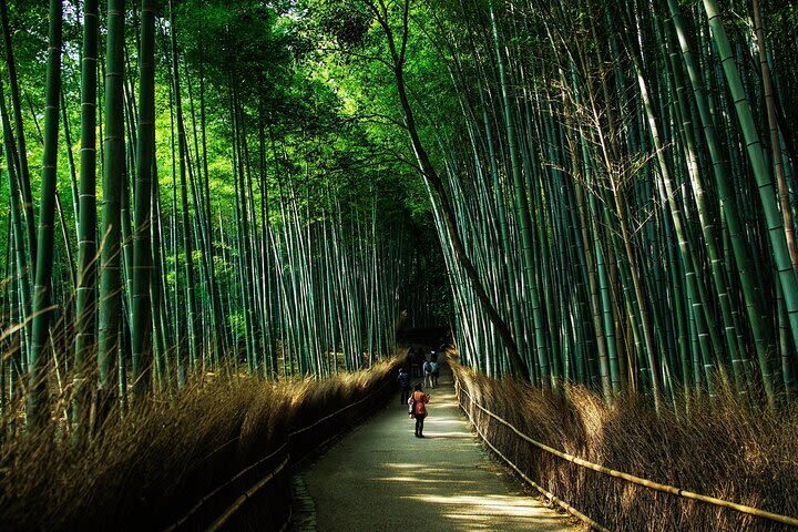 Kyoto 4 Iconic Sights Full-Day Private Tour - What the non-car format means for your day