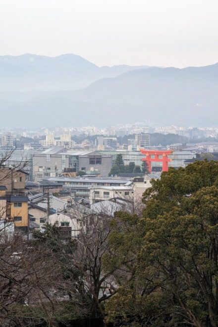 Kyoto: a Bike Ride in Deep Japan - Tour Experience and Activities