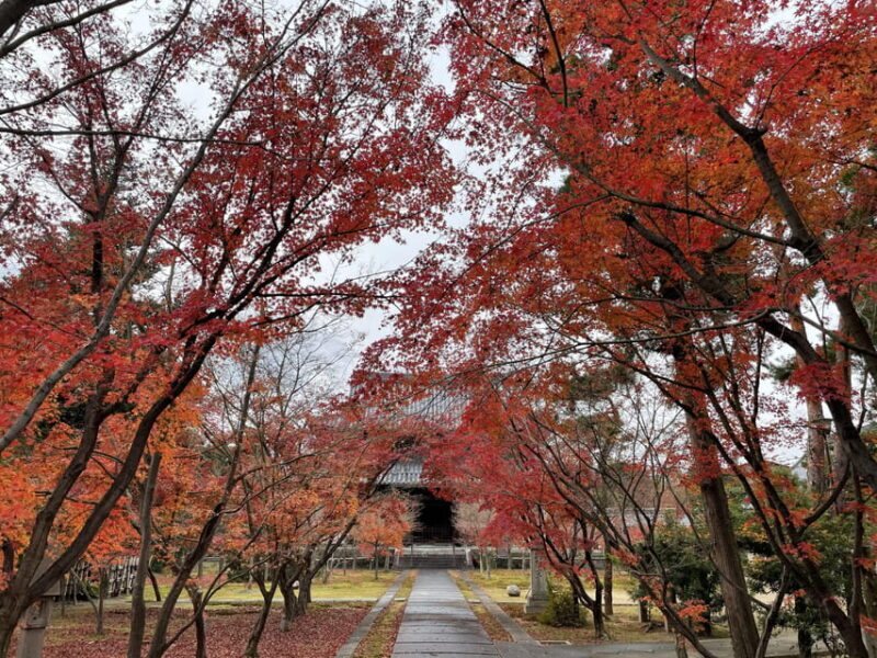 Kyoto: ALL Included Customized Sightseeing Tour with Local - Good To Know