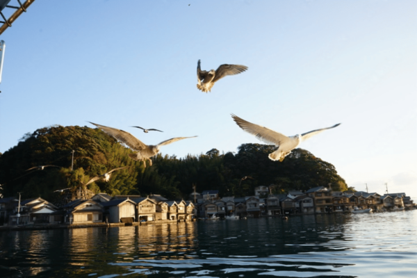 Kyoto: Amanohashidate and Ine Bay Private Trip - Booking Process