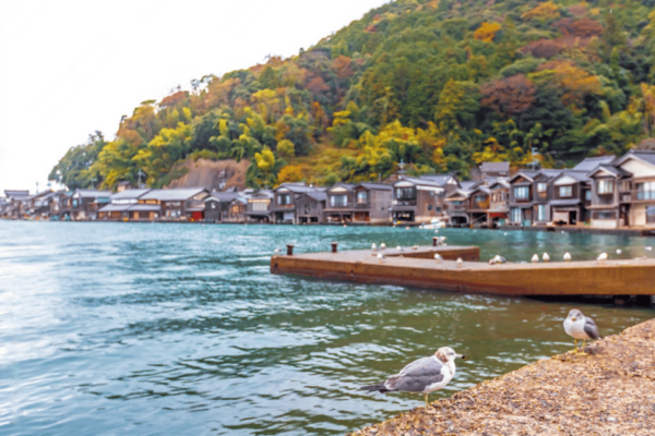 Kyoto: Amanohashidate and Ine Bay Private Trip - Frequently Asked Questions