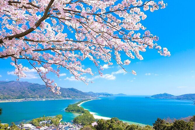 Kyoto Amanohashidate and Ine No Funaya Tour from Osaka - A Complete Breakdown of the Kyoto Amanohashidate and Ine No Funaya Tour