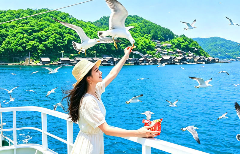 Kyoto Amanohashidate & Ine Boathouse: Amanohashidate & Ine Boathouse Secret Spot Discovery - Sea Village Day Trip (From Osaka) - The day in five useful points