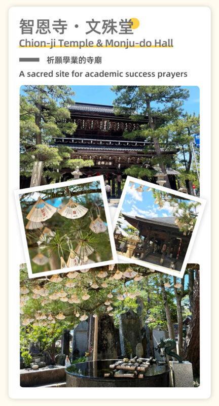 Kyoto Amanohashidate & Ine Boathouse: Amanohashidate & Ine Boathouse Secret Spot Discovery - Sea Village Day Trip (From Osaka) - What the price includes, and what it does not