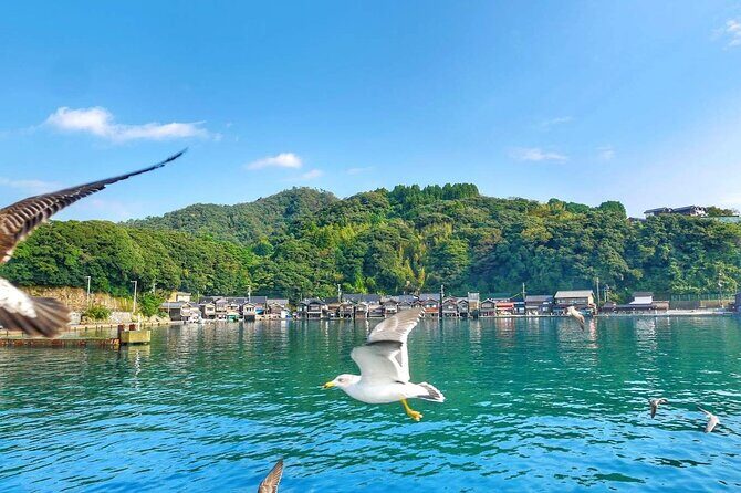 Kyoto Amanohashidate, Ine Funaya, and Ine Bay Day Tour - FAQ  