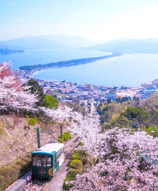 Kyoto Amanohashidate & Ine Funaya Day Trip (Optional Tango Train and Miyama Route) - The Tango Railway option