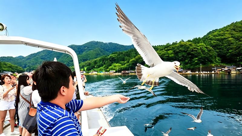 Kyoto Amanohashidate & Ine Funaya Full-Day Guided Tour - Two Miyazu stops in one day