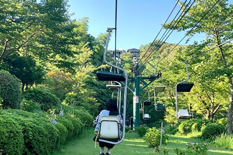 Kyoto Amanohashidate & Ine Funaya Full-Day Guided Tour - Is $52.60 good value?