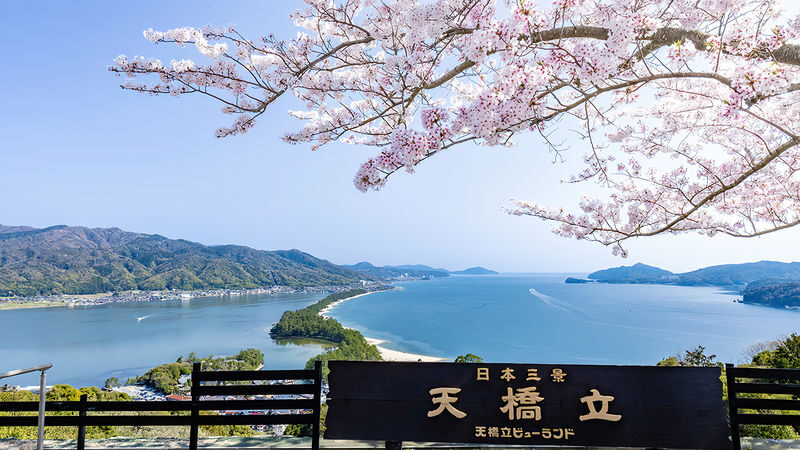 Kyoto Amanohashidate & Ine Funaya Full-Day Guided Tour - The one review and what it tells you