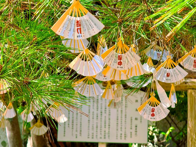 Kyoto Amanohashidate & Ine Funaya Full-Day Sightseeing Experience - Who will get the most from this outing