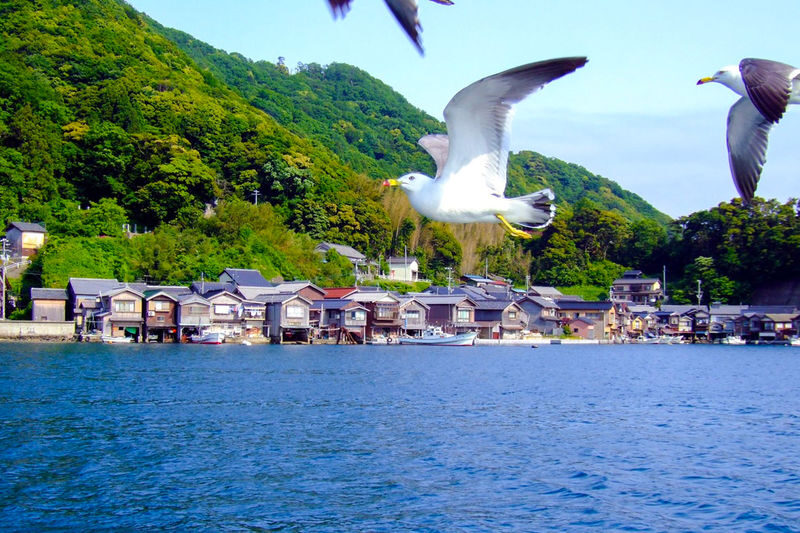 Kyoto Amanohashidate & Ine Funaya Full-Day Tour - My take: book for ease and a varied day