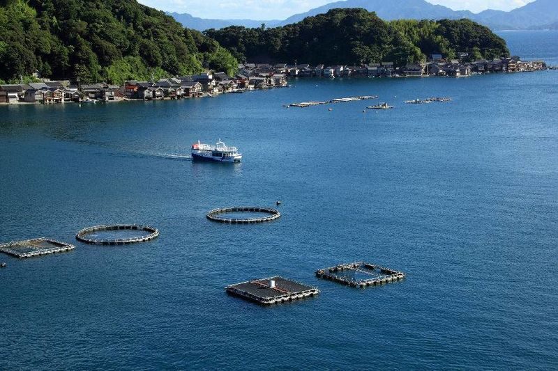 Kyoto Amanohashidate Ine Sightseeing 2-day Pass - What this pass gives you
