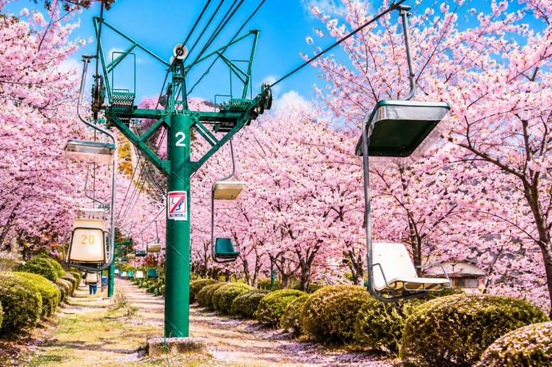 Kyoto Amanohashidate & Miyama Village: Includes boat cruise + cable car + crab lunch (pickup/drop-off in Osaka or Kyoto) - A guide can shape the whole day