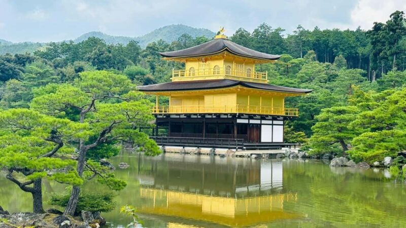 Kyoto and Nara Customised Full Day Private Tour with Pickup - Discovering the Best of Kyoto and Nara in One Day