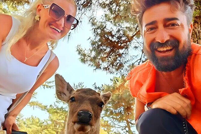 Kyoto and Nara Day Tour From Osaka with Deer Sightings - A Deep Dive into the Itinerary and Experience