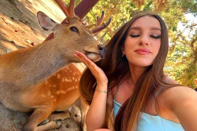 Kyoto and Nara Day Tour From Osaka with Deer Sightings - A Deep Dive into the Experience