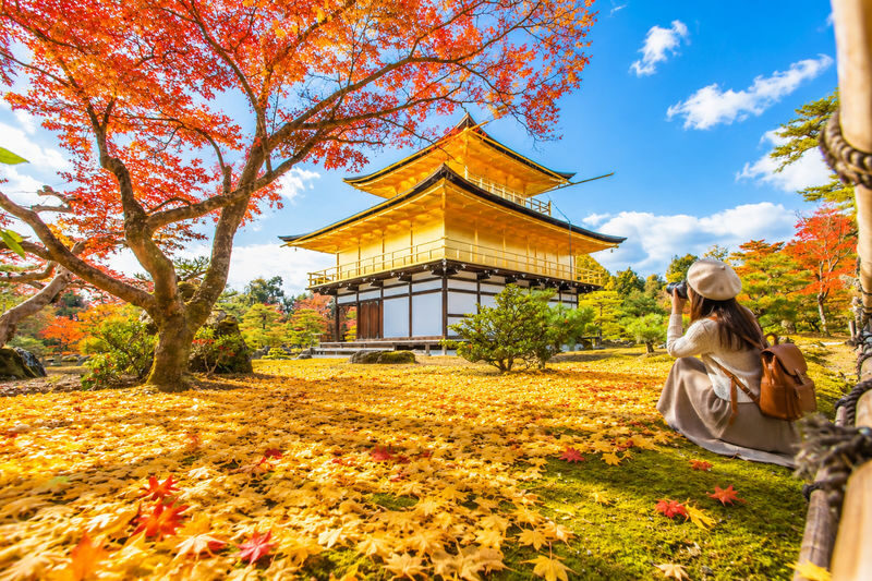 Kyoto and Nara Day Tour(Optional upgrade to Wagyu "Kobe Beef" lunch) - Four famous sights, one full day