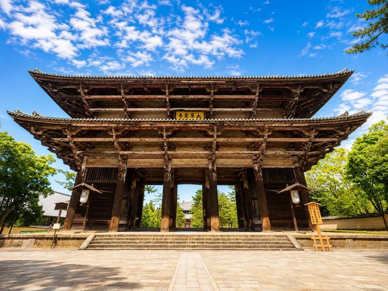 Kyoto and Nara Day Tour(Optional upgrade to Wagyu "Kobe Beef" lunch) - Fushimi Inari: red gates and a choice of how far to walk