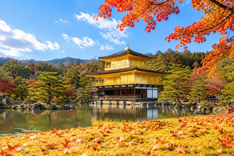 Kyoto and Nara Day Tour(Optional upgrade to Wagyu "Kobe Beef" lunch) - Coach comfort and the guides’ role