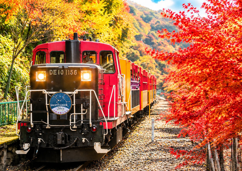Kyoto and Nara Day Tour(Optional upgrade to Wagyu "Kobe Beef" lunch) - What the price gets you